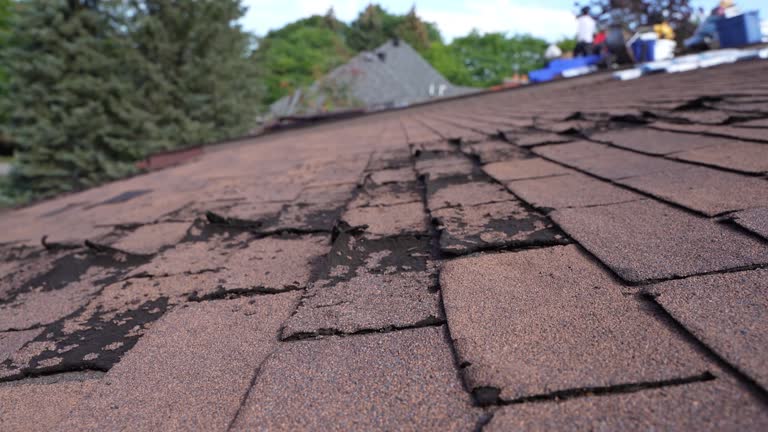 Best Emergency Roof Repair Services  in Dayton, VA